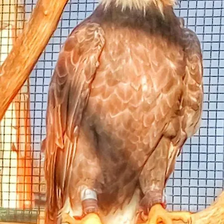 Refresh * Banská Štiavnica